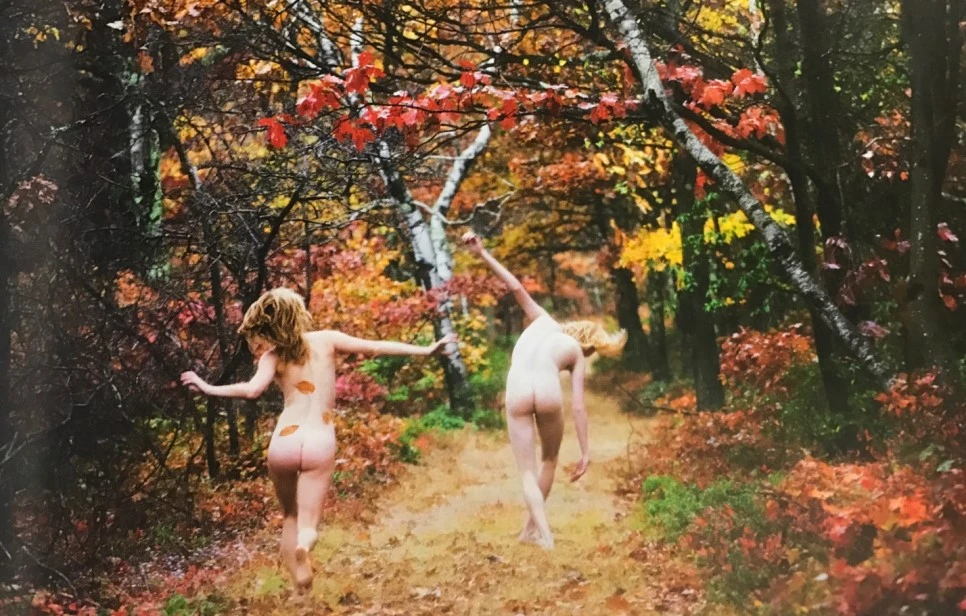 se3_image_86515381.jpg?type=w966