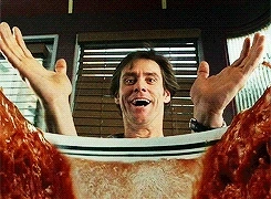 Bruce_2f36ef_5571806.gif?type=w1