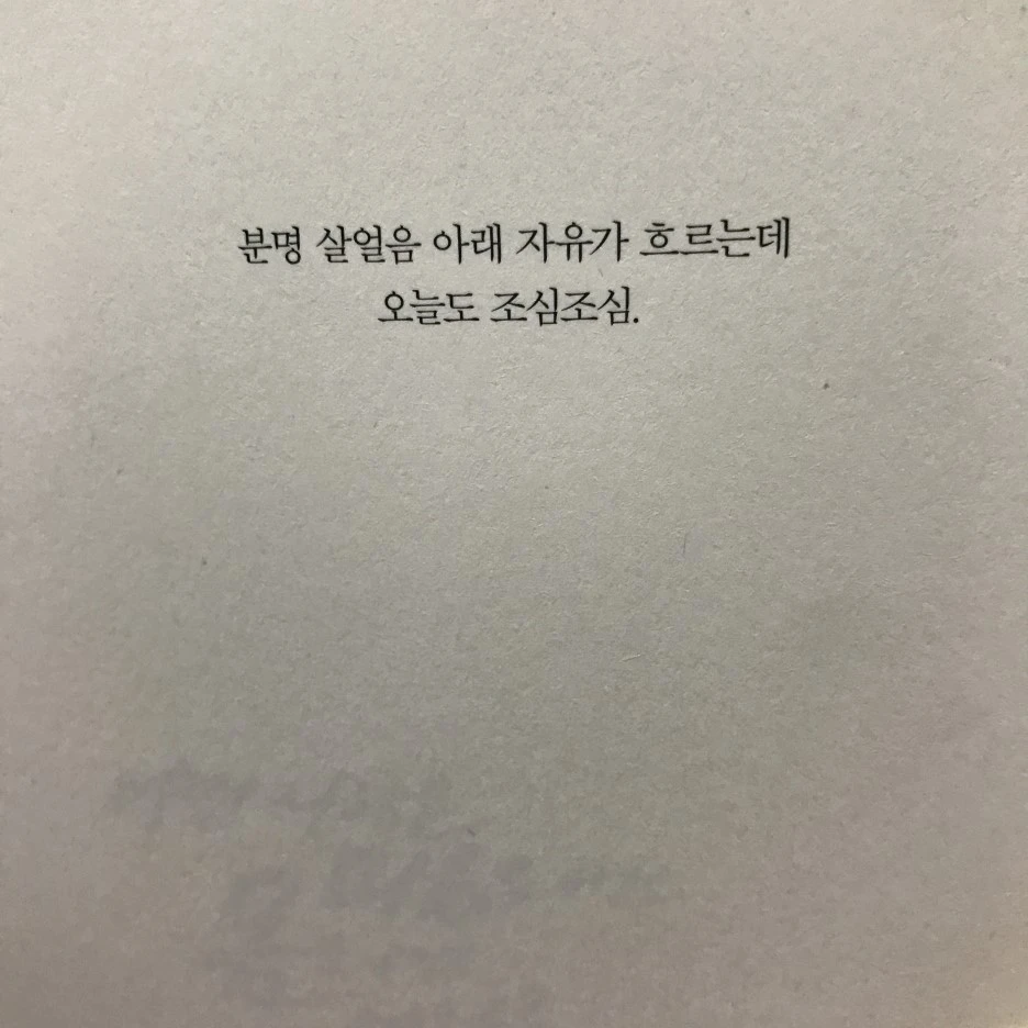 P20170201_233627576_1944919E-B56D-4415-84E2-978E48D5D889.JPG?type=w1