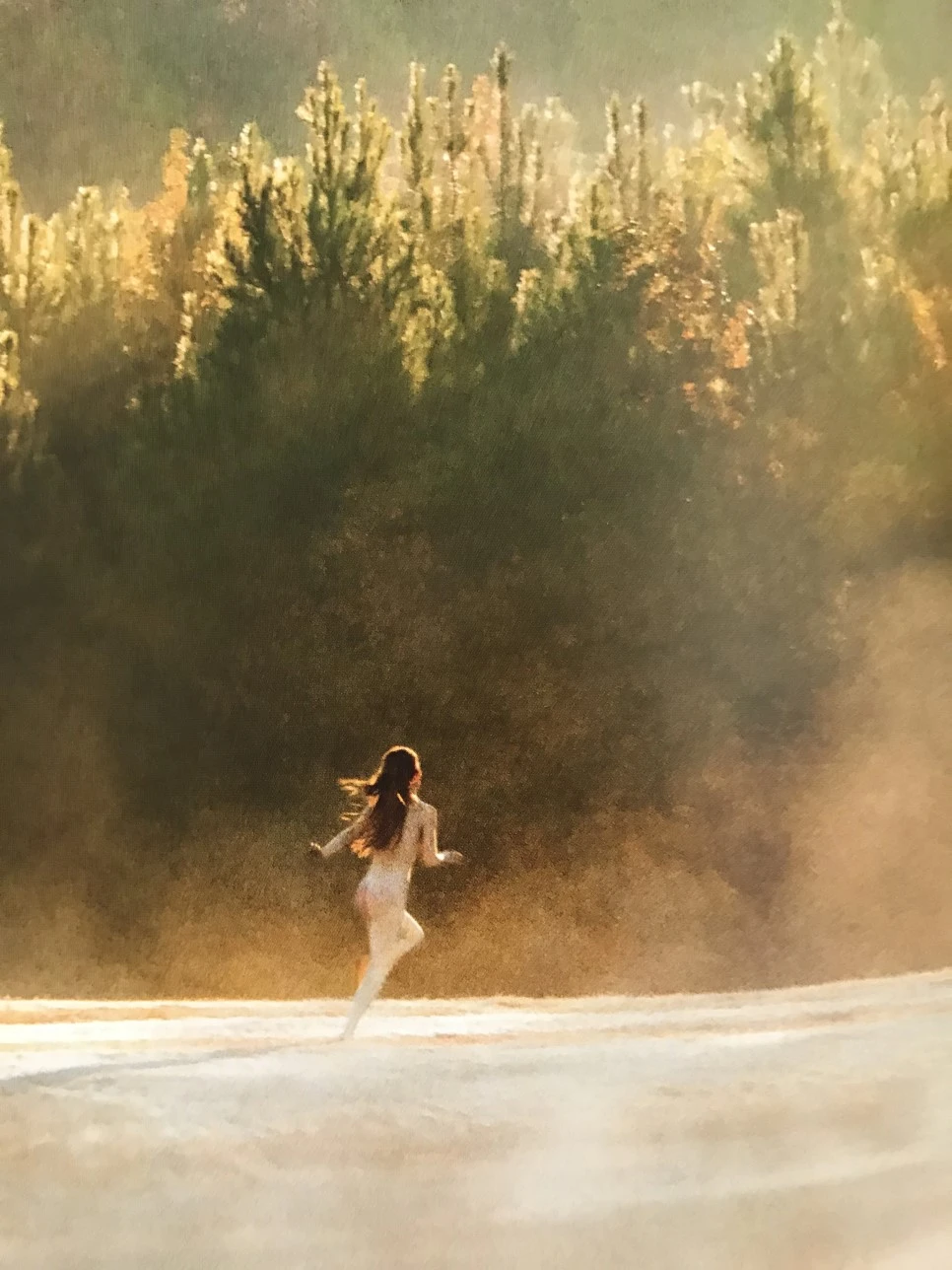 IMG_5895.JPG?type=w966