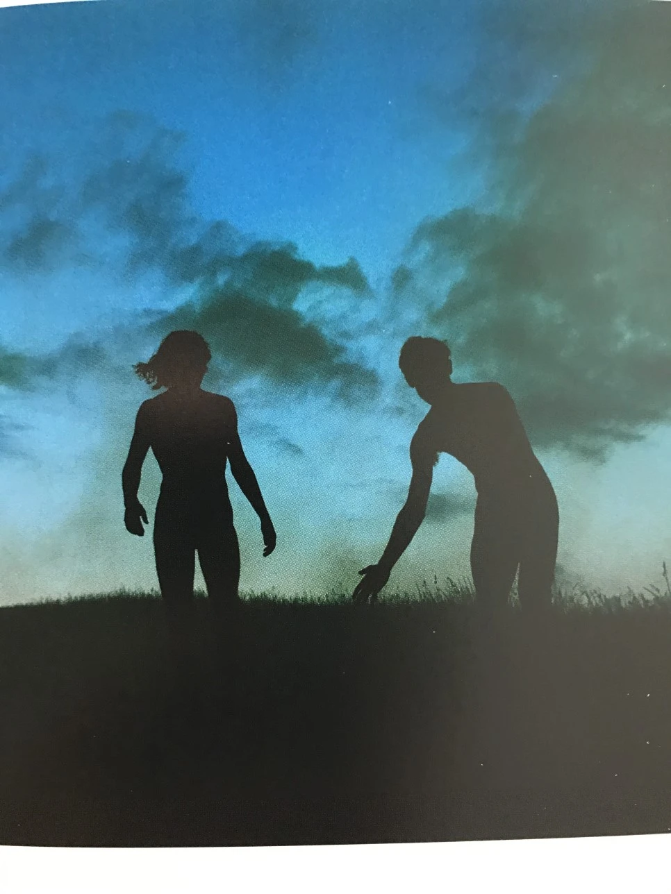 IMG_5915.JPG?type=w966