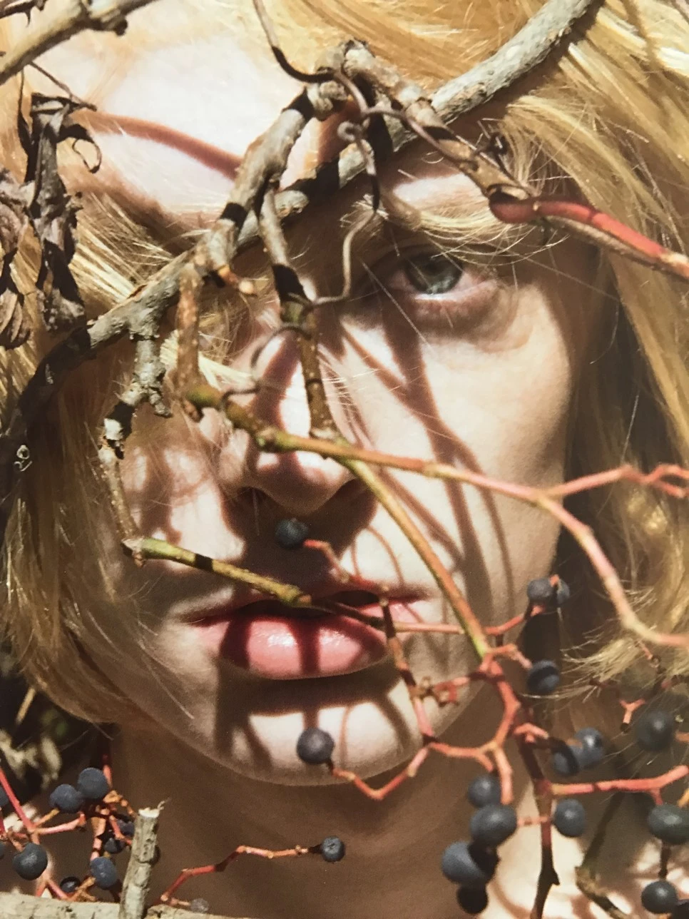 IMG_5903.JPG?type=w966