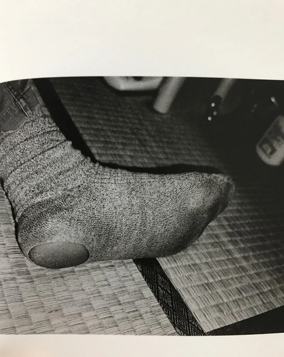 se3_image_3184635983.jpg?type=w966