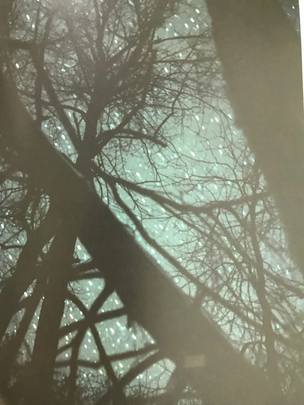 IMG_3959.JPG?type=w966