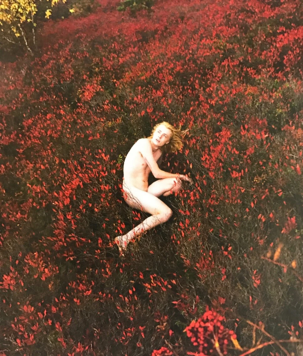 se3_image_1157370112.jpg?type=w966