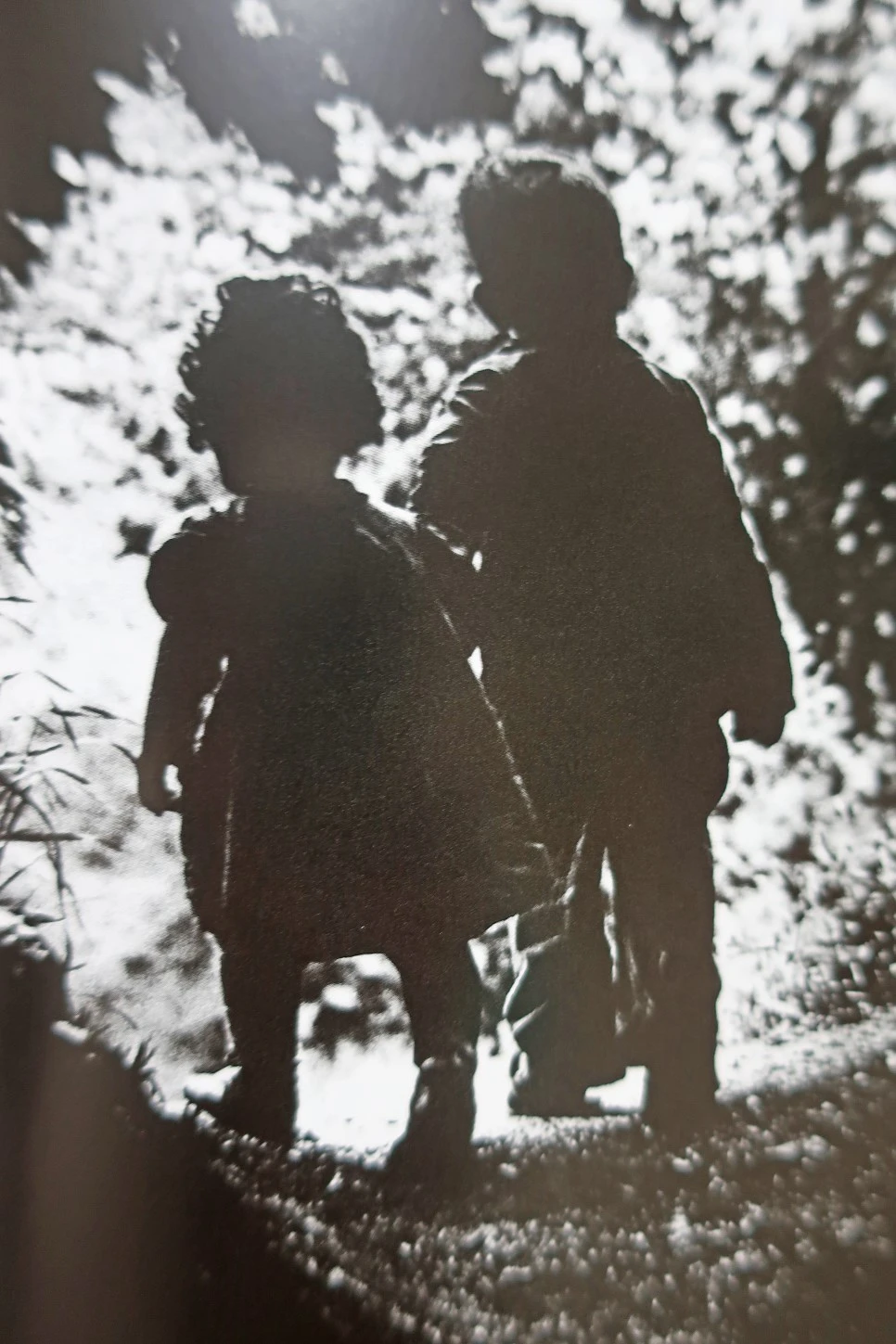 IMG_1183.JPG?type=w966