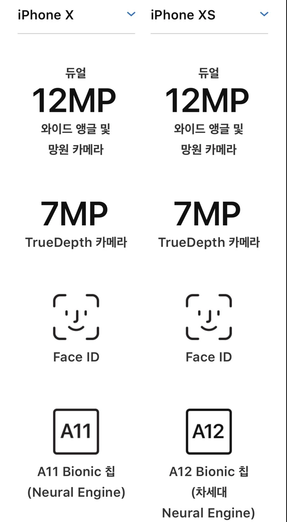 output_1916746488.JPG?type=w966