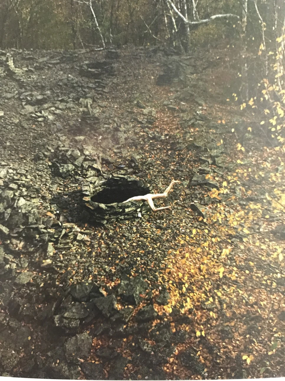 IMG_5904.JPG?type=w966