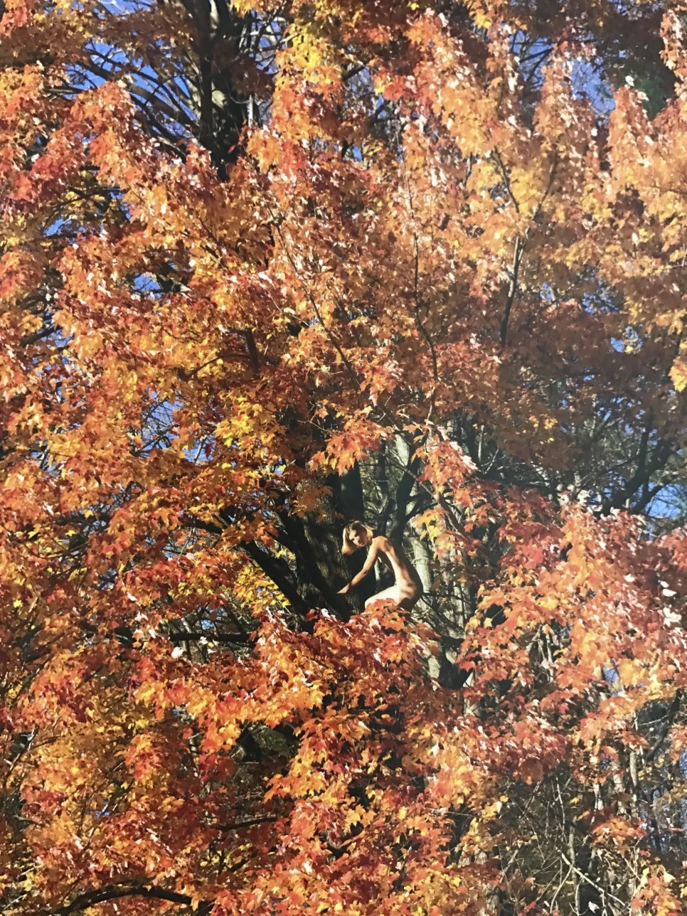 IMG_5926.JPG?type=w966