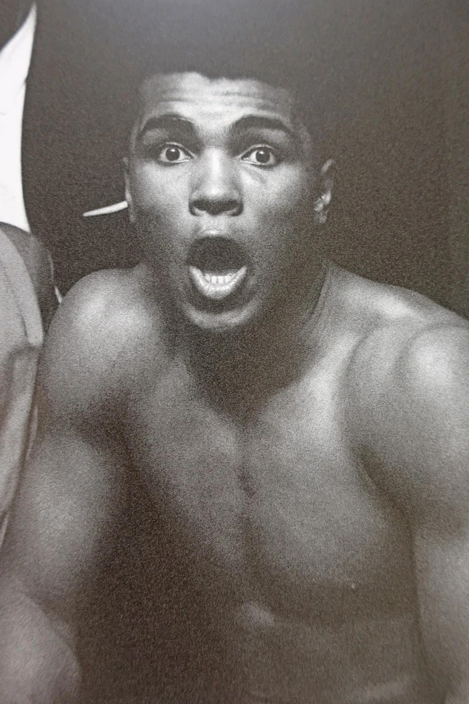 IMG_1154.JPG?type=w966