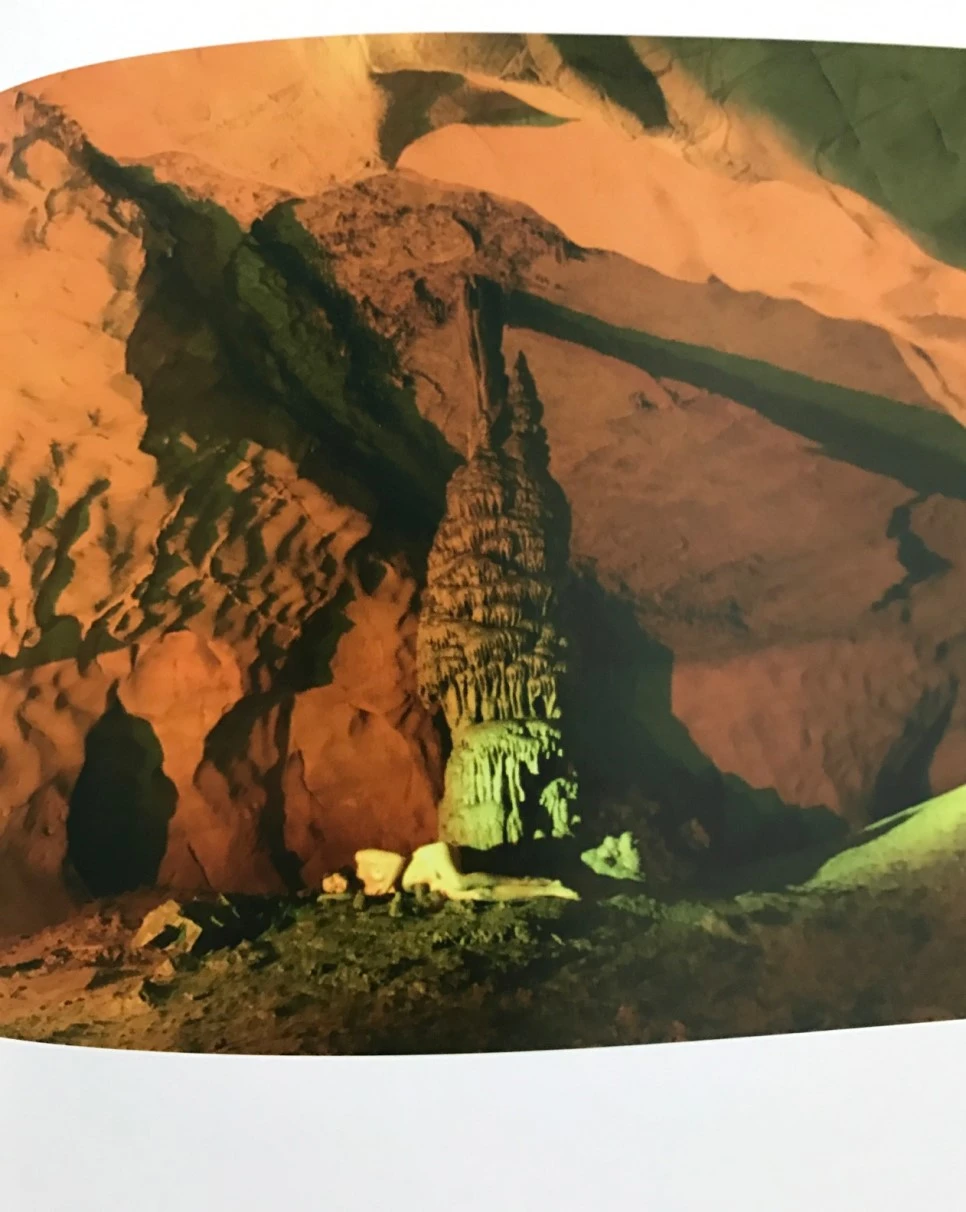 se3_image_3575771417.jpg?type=w966