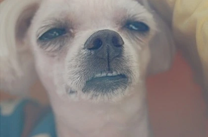 IMG_0238.PNG?type=w966