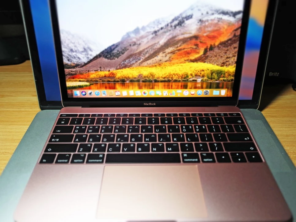 IMG_2913.JPG?type=w966