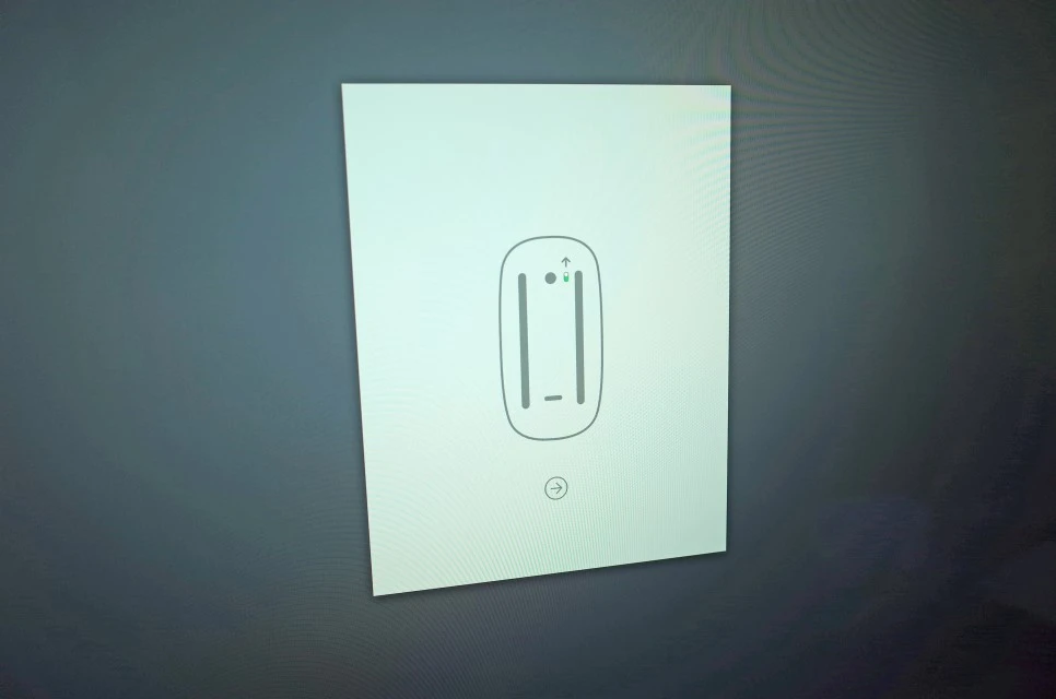 R0000209.JPG?type=w966