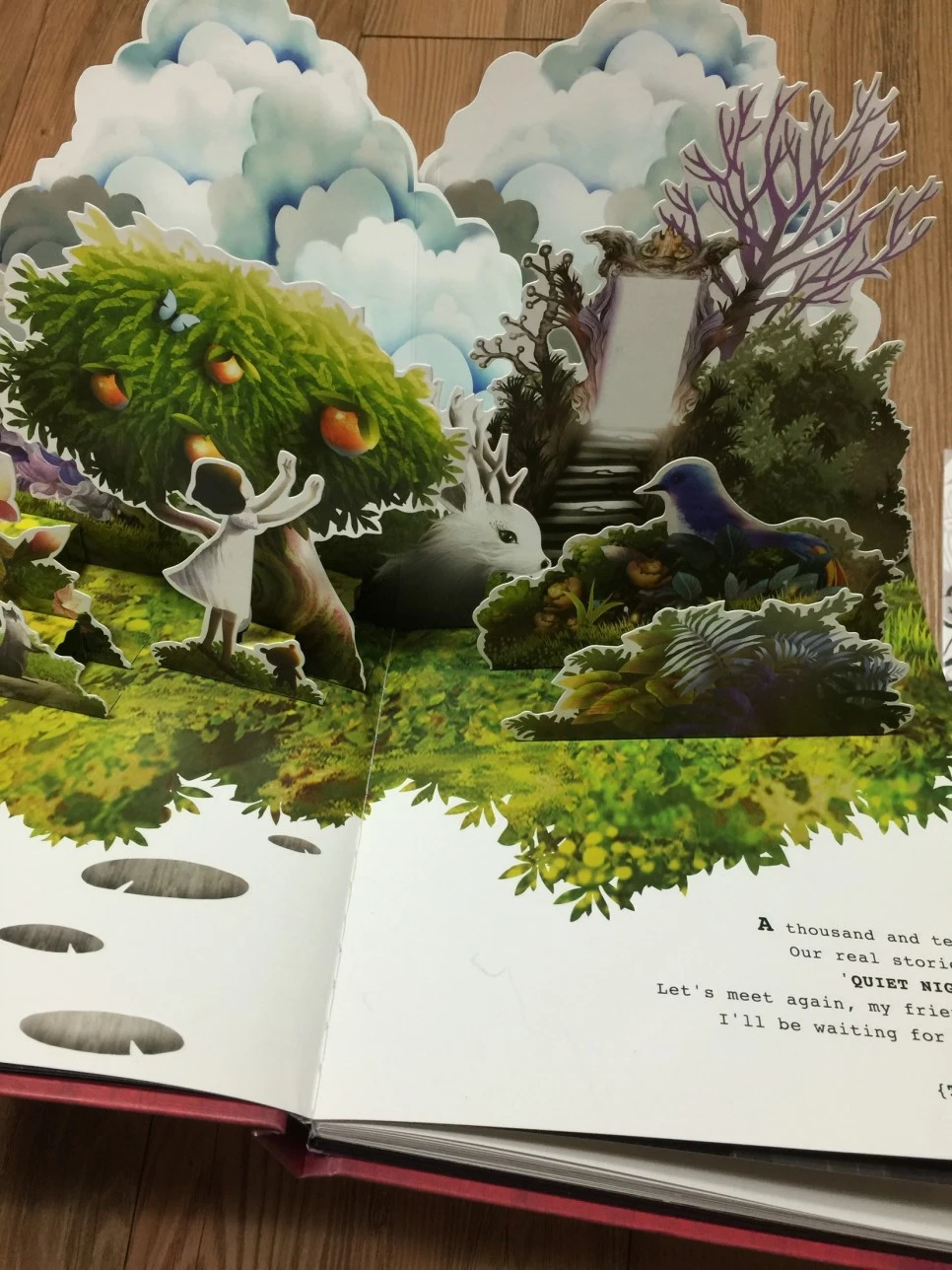 attachImage_2935783071.jpeg?type=w966