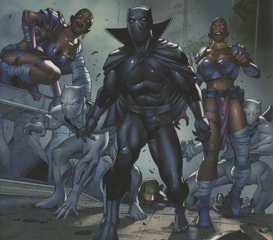 watch-t-challa-become-the-black-panther-in-fanmade-short-film-pride-lands-the-bl.jpg?type=w1