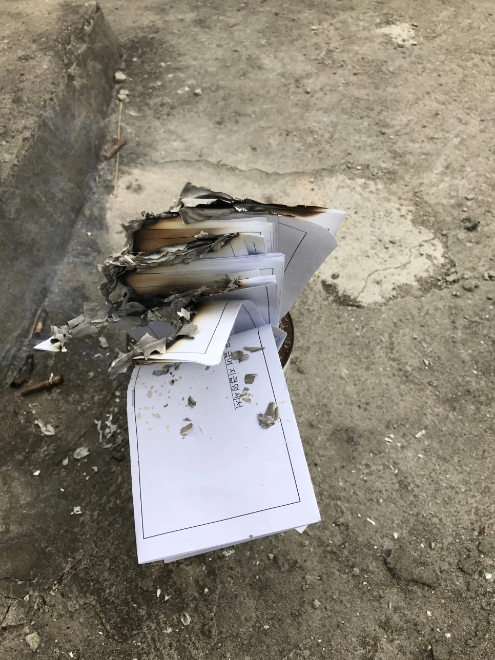 IMG_6599.JPG?type=w966