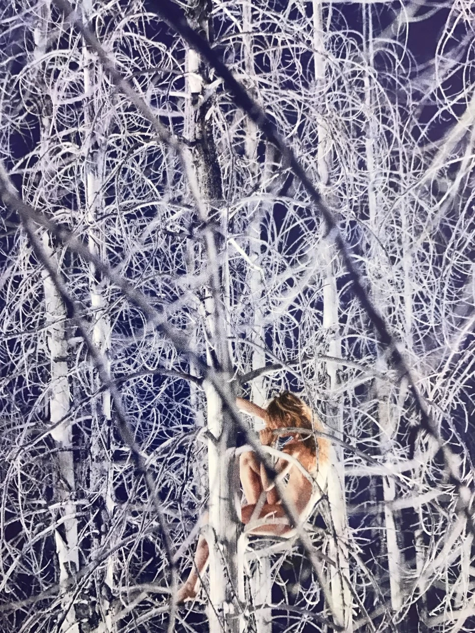 IMG_5901.JPG?type=w966