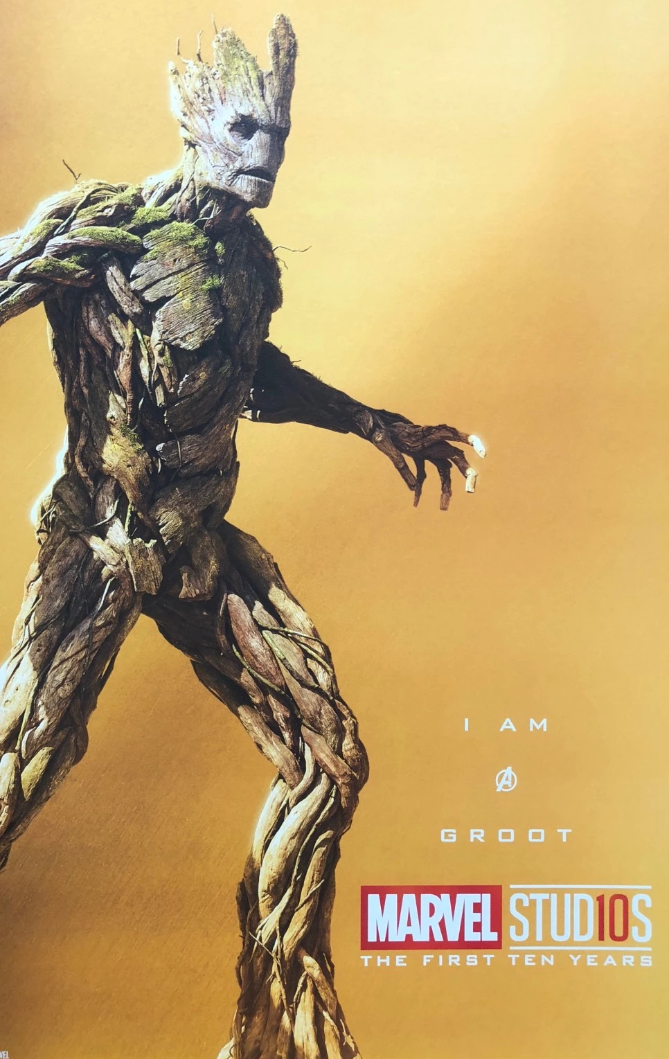 output_1980959865.JPG?type=w966