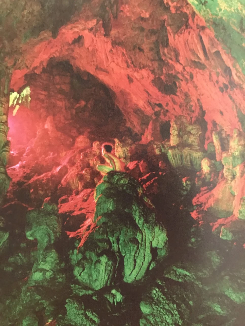 IMG_4037.JPG?type=w966