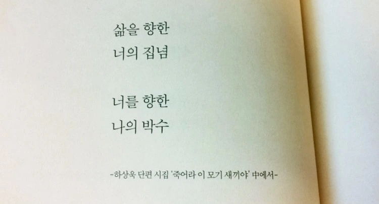 attachImage_1779242211.jpeg?type=w966