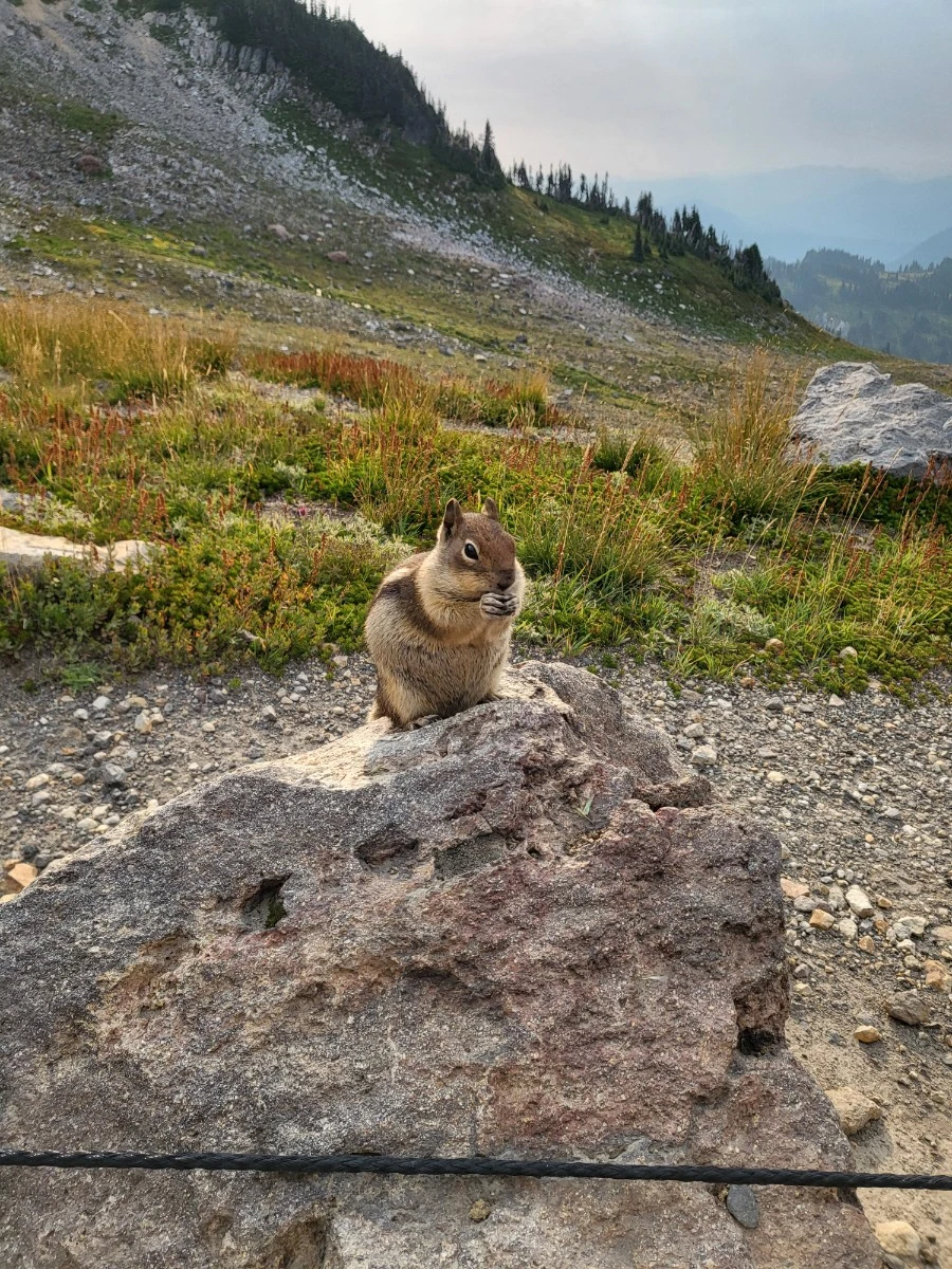 KakaoTalk_Photo_2025-09-18-21-18-14 002.jpeg