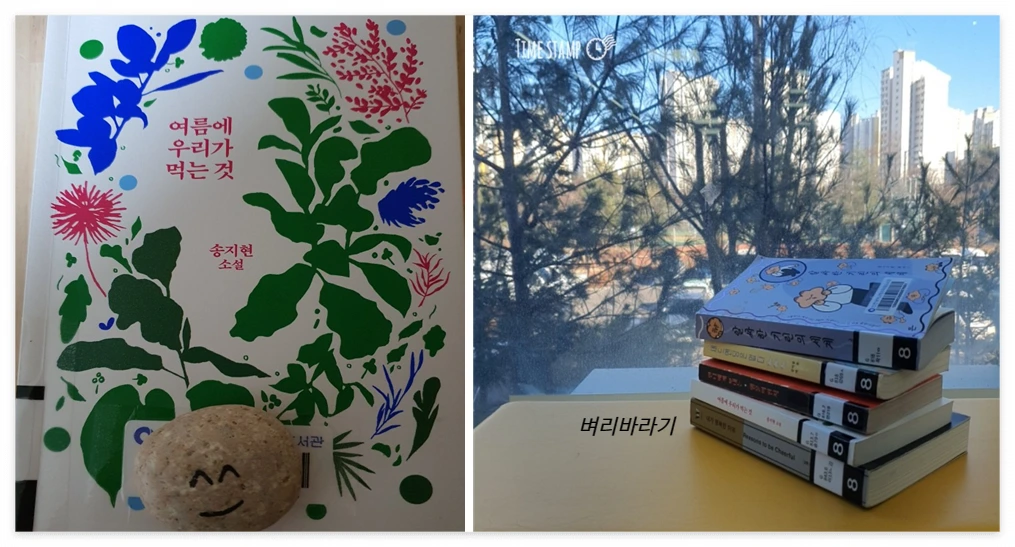 여름에 우리가 먹는 것_사진.PNG