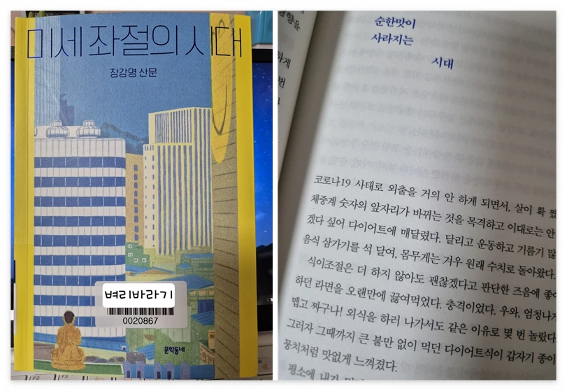 미세 좌절의 시대_사진.PNG