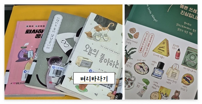 오늘의 좋아하는 것들_사진.PNG