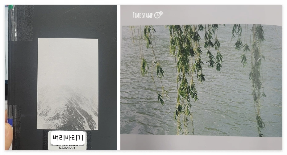 목정원 사진.PNG