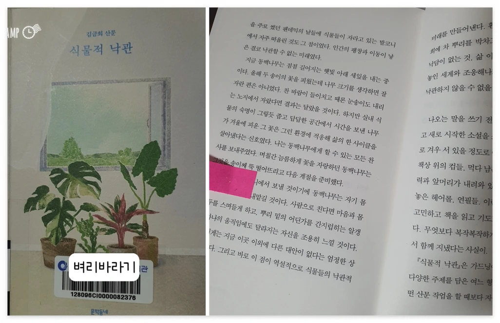 식물적 낙관_사진.PNG