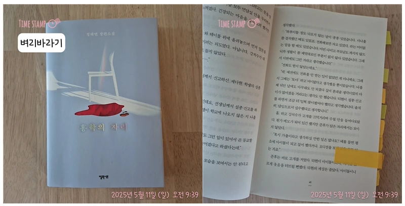 홍학의 자리_사진.PNG