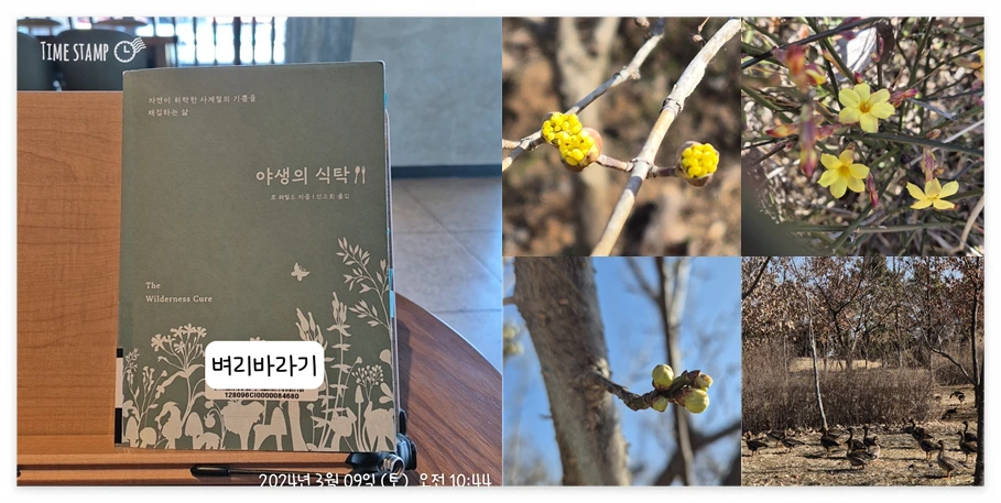 야생의 식탁_사진.PNG