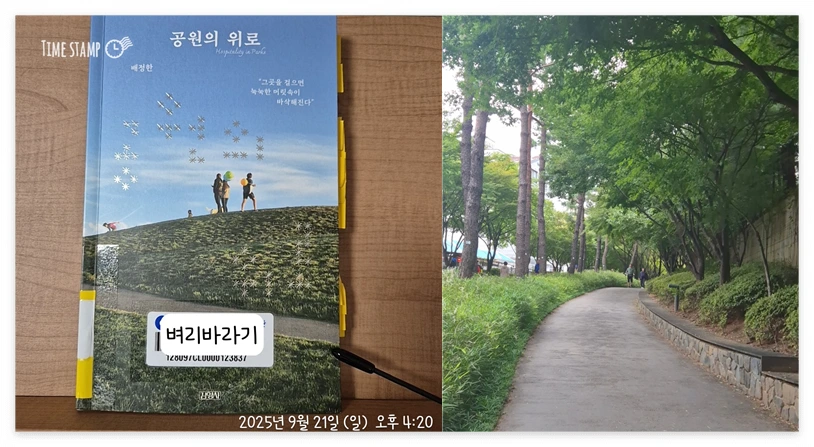 공원의 위로_사진.PNG