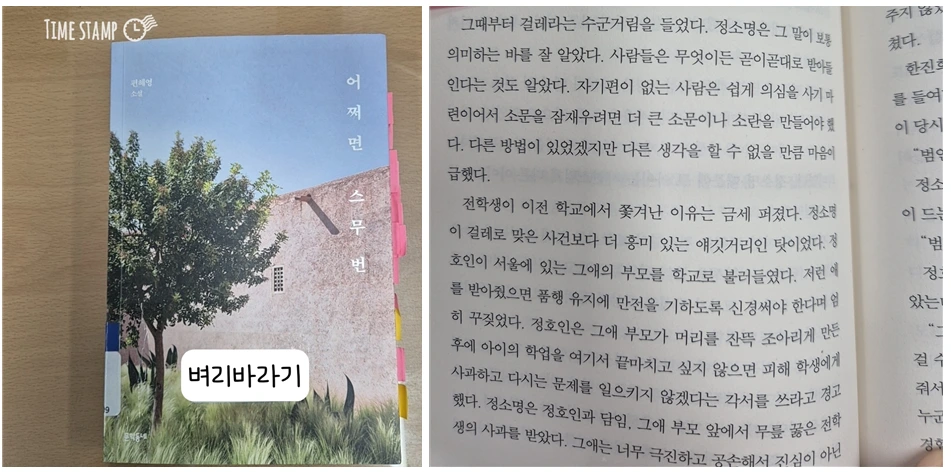 어쩌면 스무 번_사진.PNG