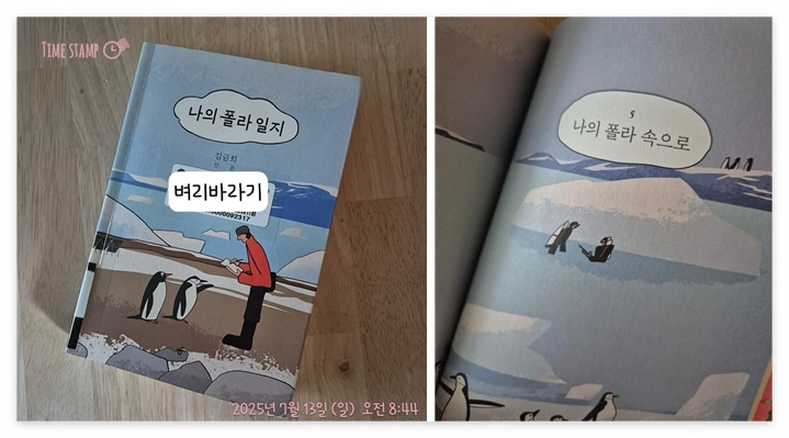 나의 폴라 일지_사진.PNG