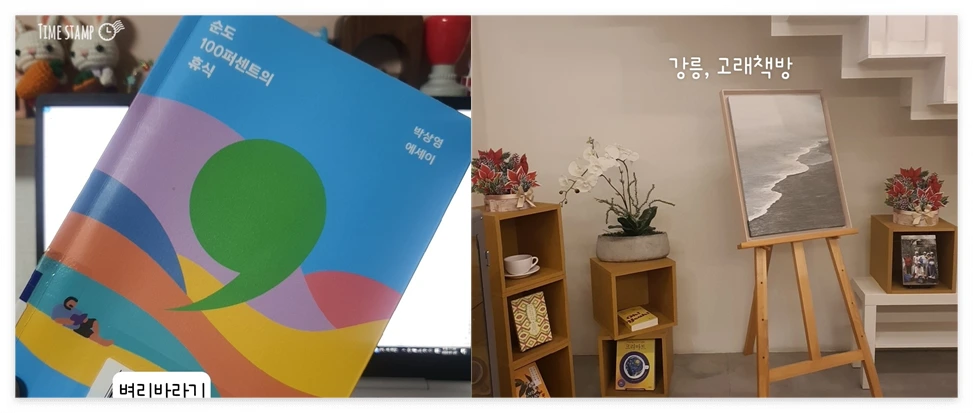 순도 백 퍼센트_사진.PNG