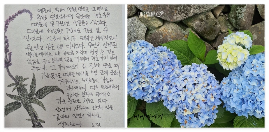 오늘 뭐했지_사진3.PNG