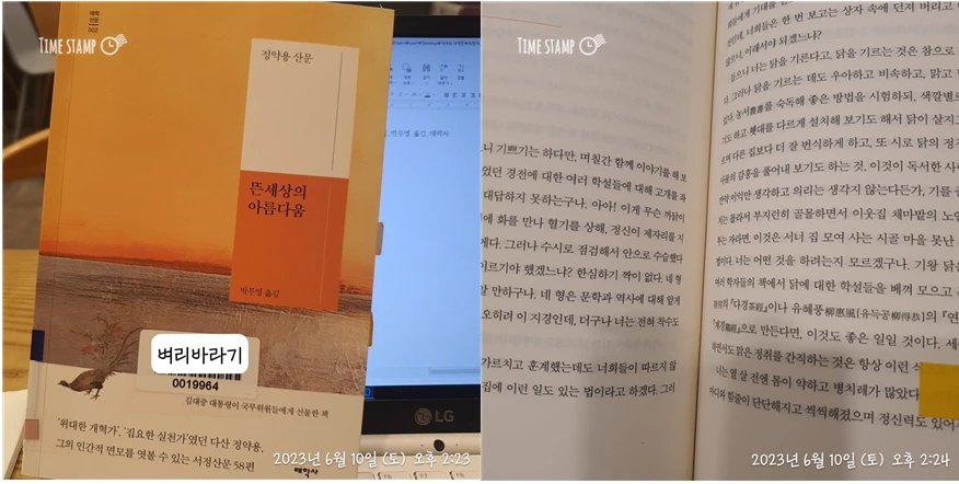 뜬세상의 아름다움_사진.PNG