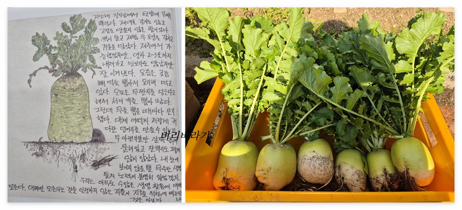 오늘 뭐했지_사진2.PNG