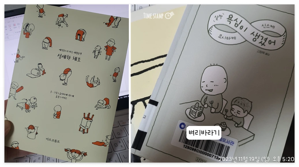 섬세한 체조_사진.PNG