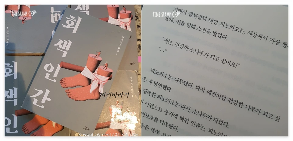 회색인간 사진.PNG