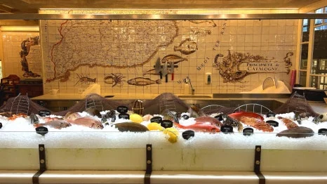 IMG_E0478.JPG?type=w466