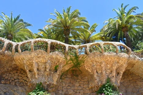 DSC_8707.JPG?type=w466