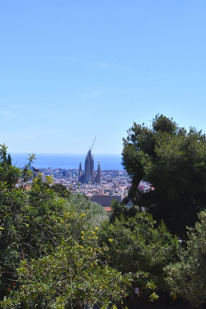 DSC_8684.JPG?type=w966