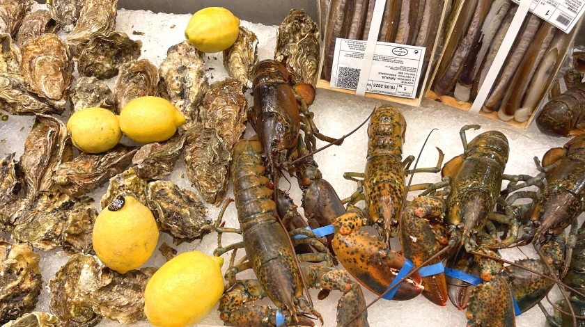 IMG_E0573.JPG?type=w966