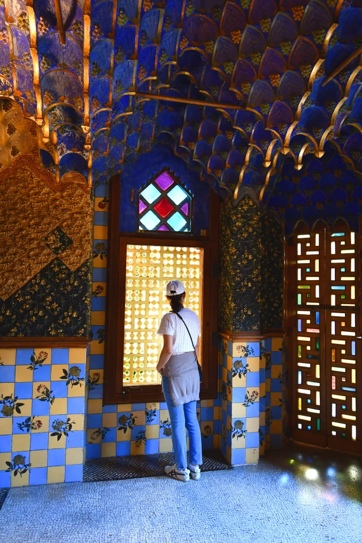 DSC_8513.JPG?type=w1