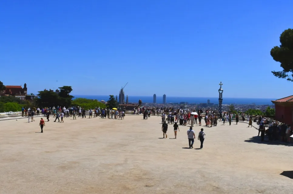 DSC_8708.JPG?type=w966