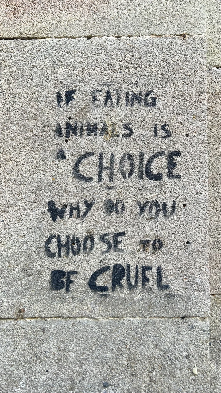 IMG_E0583.JPG?type=w966