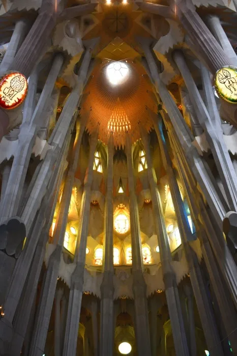 DSC_8257.JPG?type=w466